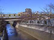 中央/東中野