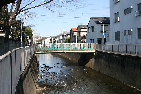 中田橋