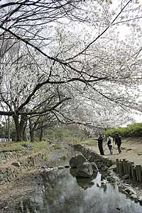公園内