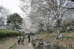 公園内下流から