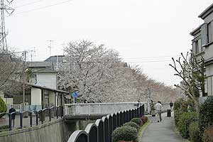 神田橋