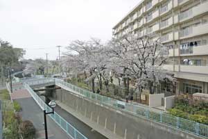 やなぎ橋