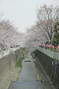 佃橋から