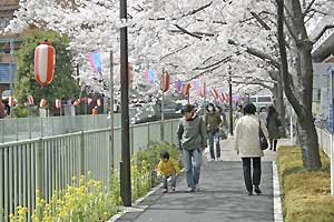 遊歩道