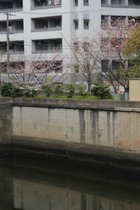 大曲で