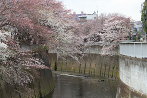 駒塚橋から