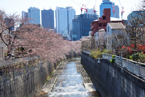末広橋から