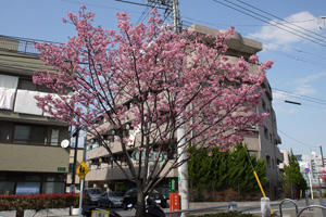 相生橋
