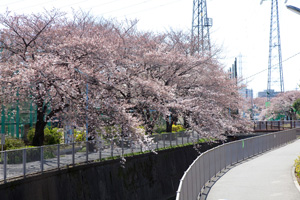 番屋橋〜中井橋