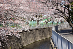 神泉橋から