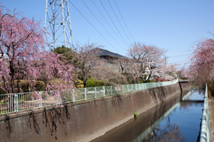 八幡橋〜藤和橋