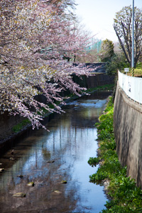鎌倉橋から
