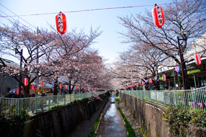 高井戸橋から