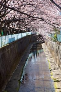 宮下橋〜緑橋