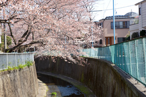 緑橋から