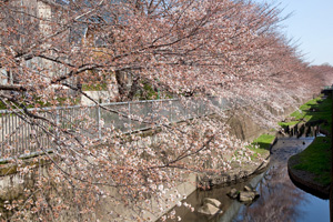 神田橋から