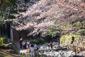 井の頭公園内