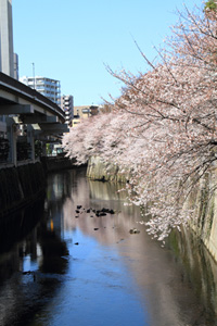 江戸川橋の橋上から