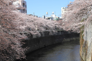 大滝橋橋上から