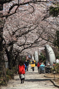 神田上水公園で