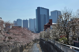 末広橋から