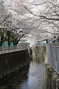 宮下橋から