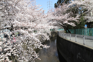 栄泉橋から