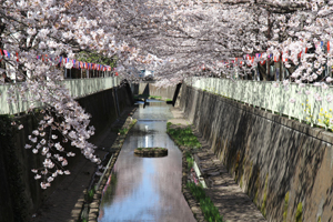 高井戸橋から