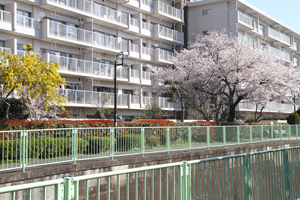 久我山駅近くで