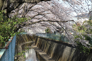 宮下橋近くで