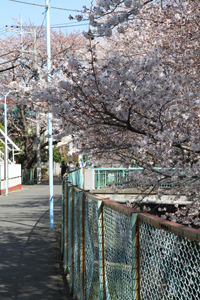 緑橋手前