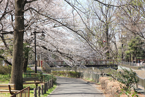 白山前橋の手前で
