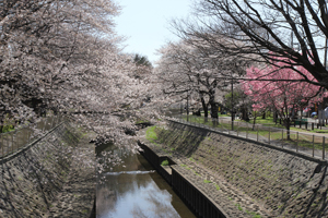 屋倉橋から