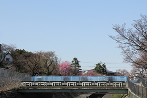 西園橋となかよし橋