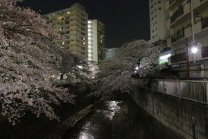 小滝橋上から