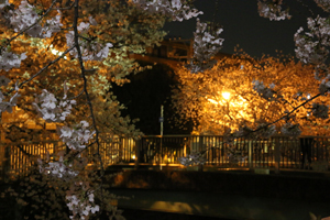 背景は亀齢橋