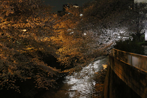 亀齢橋の上から