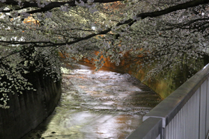 蛇行する神田川
