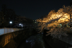 大東橋から