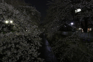 大東橋上流側