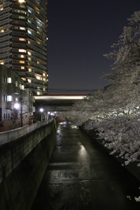 中央線神田川橋梁