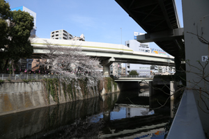 江戸川橋を振り返る