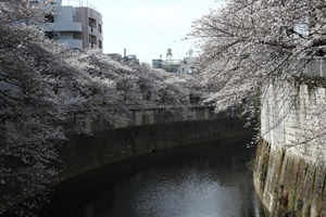 大滝橋から