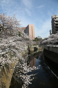 駒塚橋から