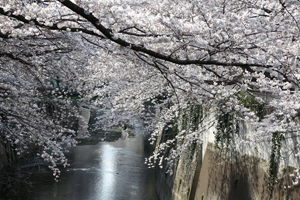 豊橋から