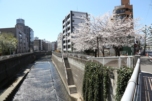 高田橋から