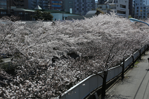 落合中央公園近くで