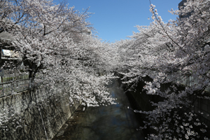 亀齢橋から下流側