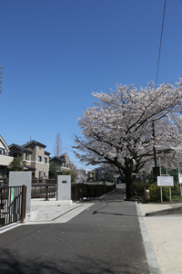 中井橋