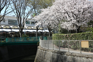 永高橋近くで